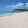 A man bends over at the waterline on an empty beach